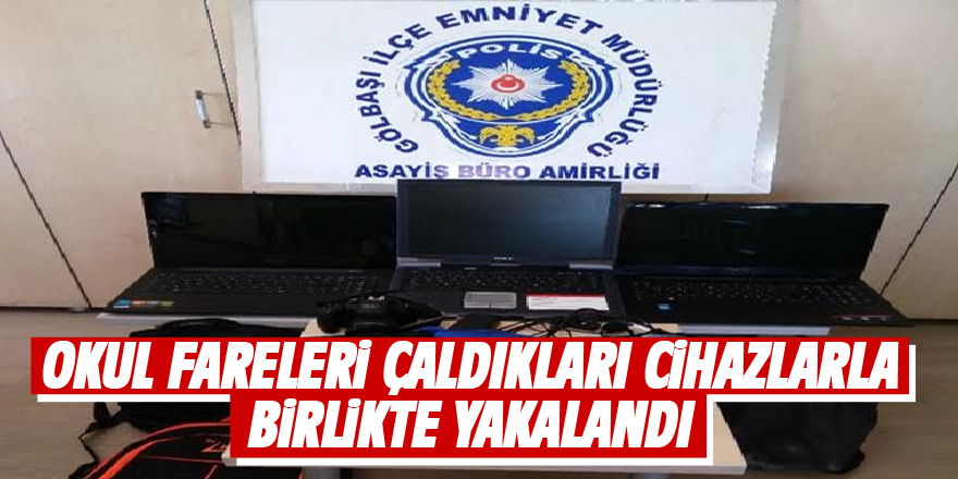 Emniyet affetmedi! Okul fareleri yakalandı