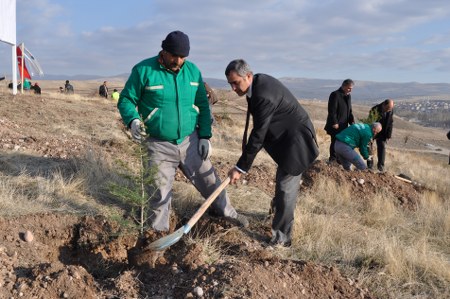 Şehit Öğretmenler Anısına Orman 16