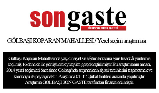 54 mahallede birebir anket (İŞTE SONUÇLAR) 33