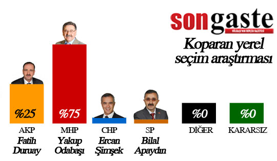 54 mahallede birebir anket (İŞTE SONUÇLAR) 34