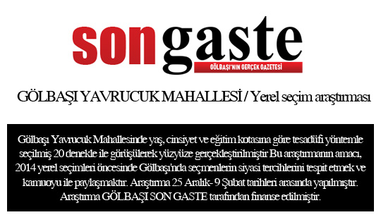 54 mahallede birebir anket (İŞTE SONUÇLAR) 51