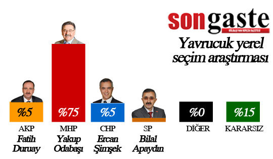 54 mahallede birebir anket (İŞTE SONUÇLAR) 52