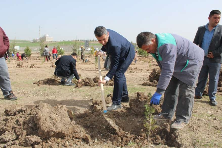 Afrin şehitlerinin adı Gölbaşı'nda yaşayacak 23