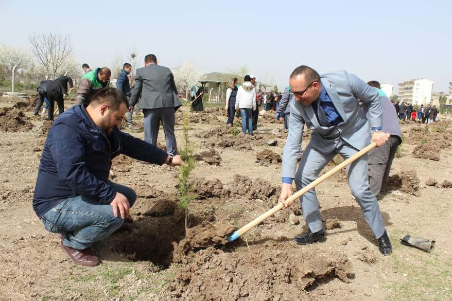 Afrin şehitlerinin adı Gölbaşı'nda yaşayacak 24