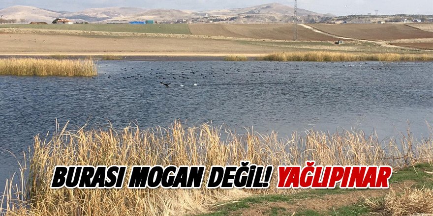 Mogan'a alternatif yeni göl
