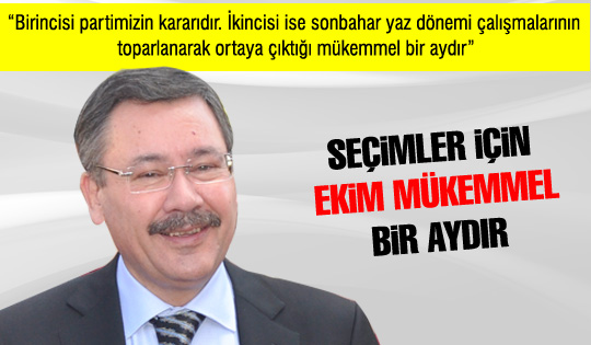 GÖKÇEK: “ SEÇİMLER İÇİN EKİM MÜKEMMEL BİR AYDIR"