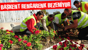 BAŞKENT KIŞLIK ÇİÇEKLERLE RENGARENK BEZENİYOR