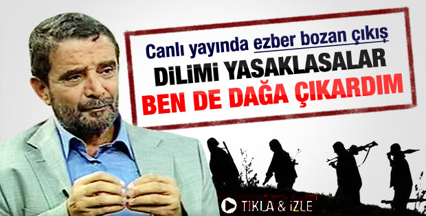 Mümtaz'er Türköne: Ben de dağa çıkardım