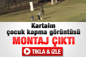 Kartalın çocuğu kaçırma girişimi videosu montaj çıktı