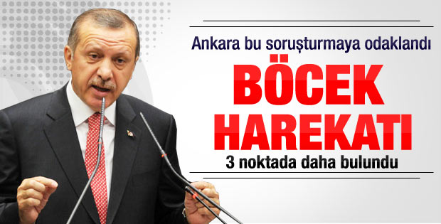 Ankara'da böcek harekatı