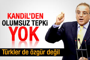 Sırrı Sakık: Kandil'den olumsuz tepki yok