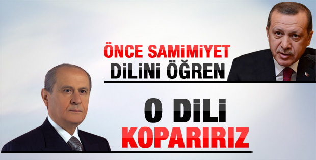 Bahçeli'den Erdoğan'a: O dili koparırız