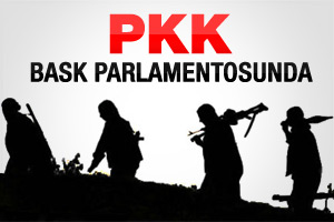 Bask partisinden PKK önergesi