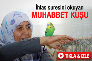 İhlas suresini okuyan muhabbet kuşu