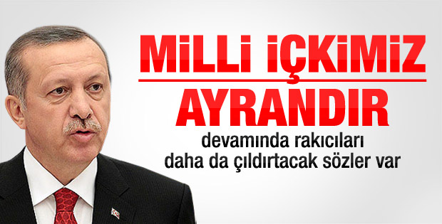 Başbakan Erdoğan: Bizim milli içkimiz ayrandır