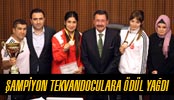 Tekvondoculara Ödül Yağdı