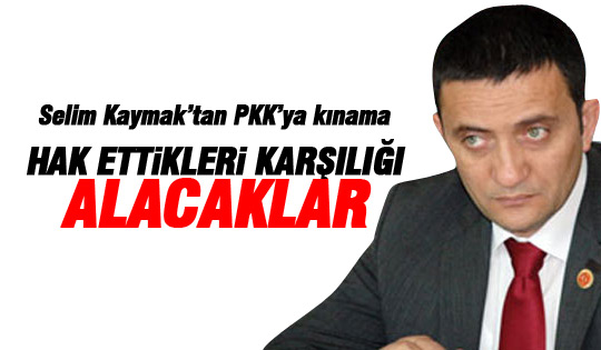 Selim Kaymak'tan PKK'ya kınama