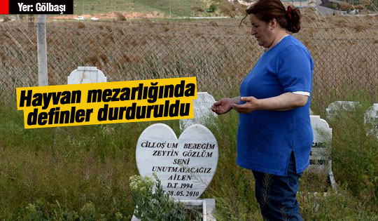 Hayvan mezarlığı taşınıyor
