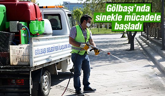 Gölbaşı’nda Sinekle Mücadele Çalışmaları Sürüyor