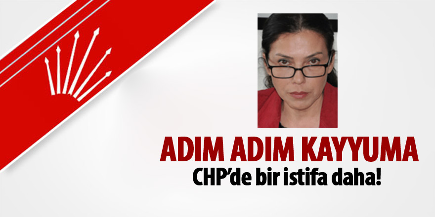 CHP'de yeni bir istifa daha