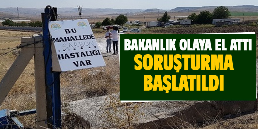 Bakan Pakdemirli'den şarbon vakasına inceleme talimatı