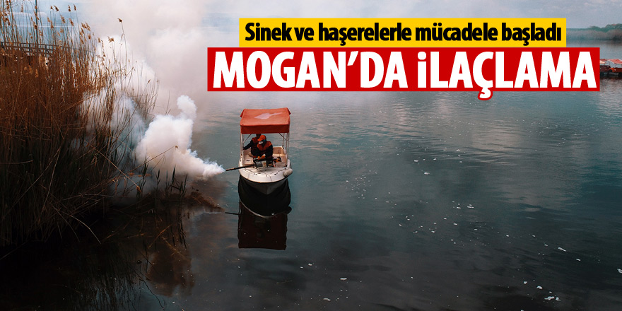 Mogan'da ilaçlama çalışması