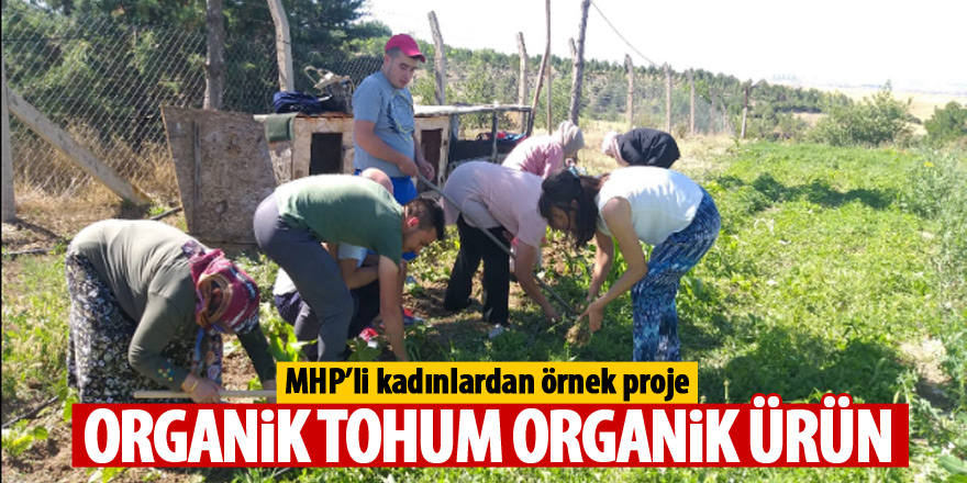 MHP'li kadınlardan örnek proje