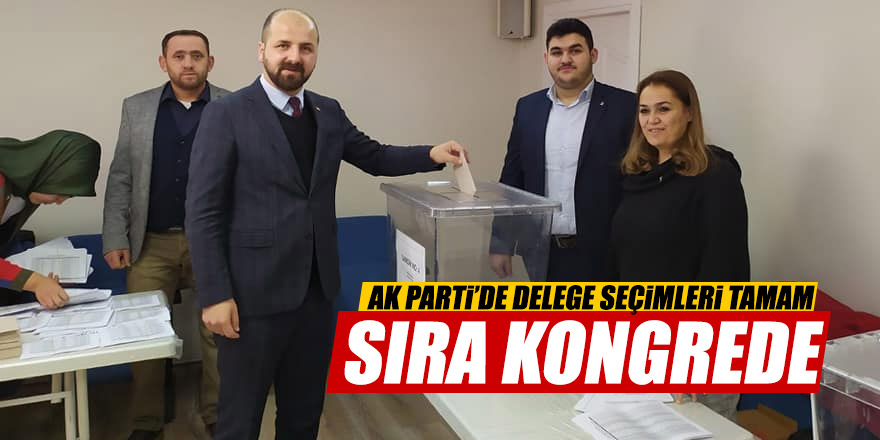 Ak Parti'de delege seçimleri yapıldı