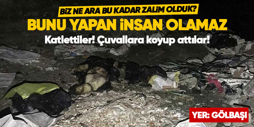 Ankara'da korkunç olay! Çuvalların içinde köpek ölüleri bulundu