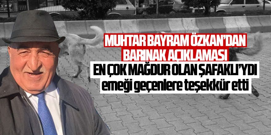 Muhtar Özkan: En çok mağdur olan Şafaklı'ydı
