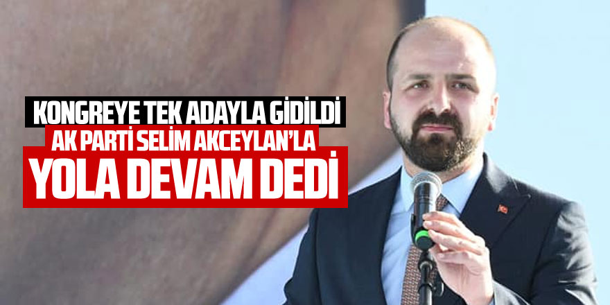 Ak Parti Selim Akceylan ile yola devam dedi