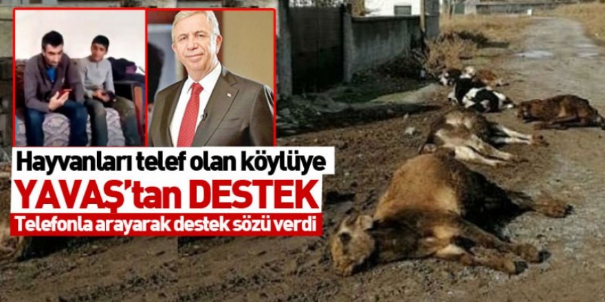 O köylüye destek Yavaş'tan geldi