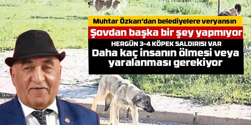 Bayram Özkan'dan belediyelere veryansın