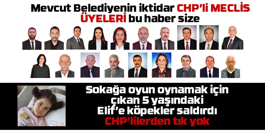 Başıboş köpek saldırısına CHP'li meclis üyeleri sessiz kaldı