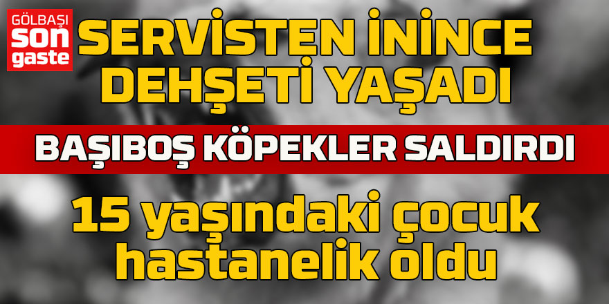 Gölbaşı’nda Yine Köpek Saldırısı: 15 Yaşındaki Öğrenci Hastaneye Kaldırıldı