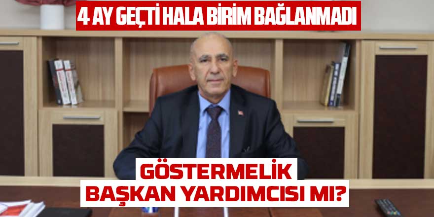 Göstermelik Başkan Yardımcılığı mı?