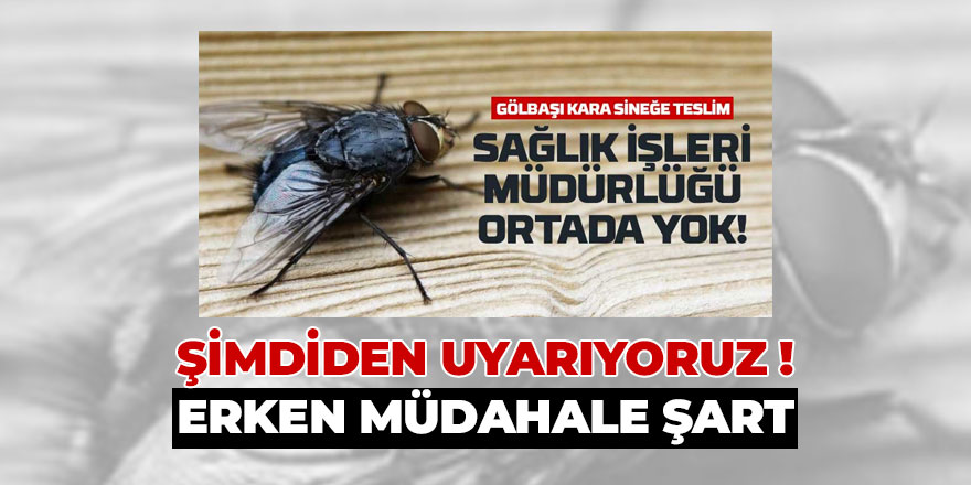 Gölbaşı’nda Yaz Öncesi Kritik Uyarı: Geçen Yılın Sivrisinek Sorunu Tekrar Etmesin