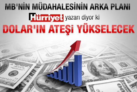 Yalçın Doğan: Dolara müdahalenin arka planı
