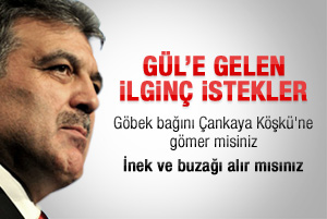 Vatandaş derdini Abdullah Gül'e anlatıyor