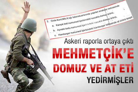 Mehmetçik'e domuz ve at eti yedirmişler
