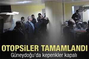 Çok sayıda çevik kuvvet Uludere'de