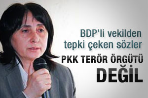 BDP'li vekil: PKK terör örgütü değil