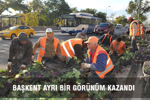 KIŞ ÇİÇEKLERİYLE DONATILAN BAŞKENT AYRI BİR GÖRÜNÜM KAZANDI