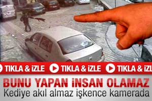 Kediye yapılan işkence kamerada - Video