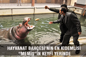 HAYVANAT BAHÇESİ’NİN EN KIDEMLİSİ “MEMİŞ”İN KEYFİ YERİNDE
