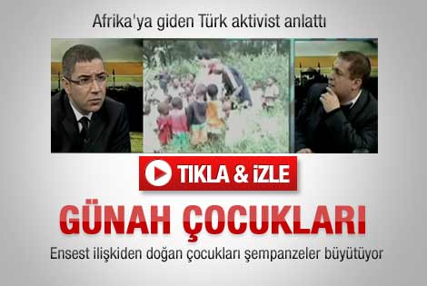 Afrika'da ensest ilişkiden doğan şempanze çocuklar