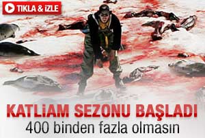 Kanada'da katliam başladı