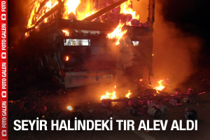 Seyir halindeki TIR alev aldı - Galeri