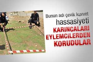 Bunun adı çevik kuvvet hassasiyeti