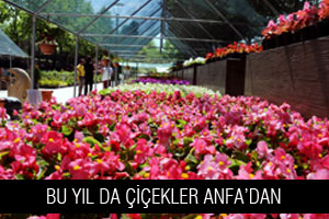 BU YIL DA ÇİÇEKLER ANFA'DAN